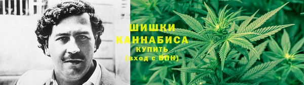ПСИЛОЦИБИНОВЫЕ ГРИБЫ Щучье