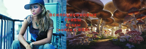 амфетамин Каменногорск