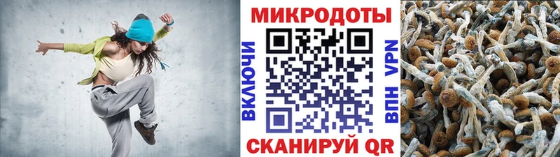 shop Telegram  Прокопьевск  Галлюциногенные грибы мицелий  сколько стоит  блэк спрут как зайти 