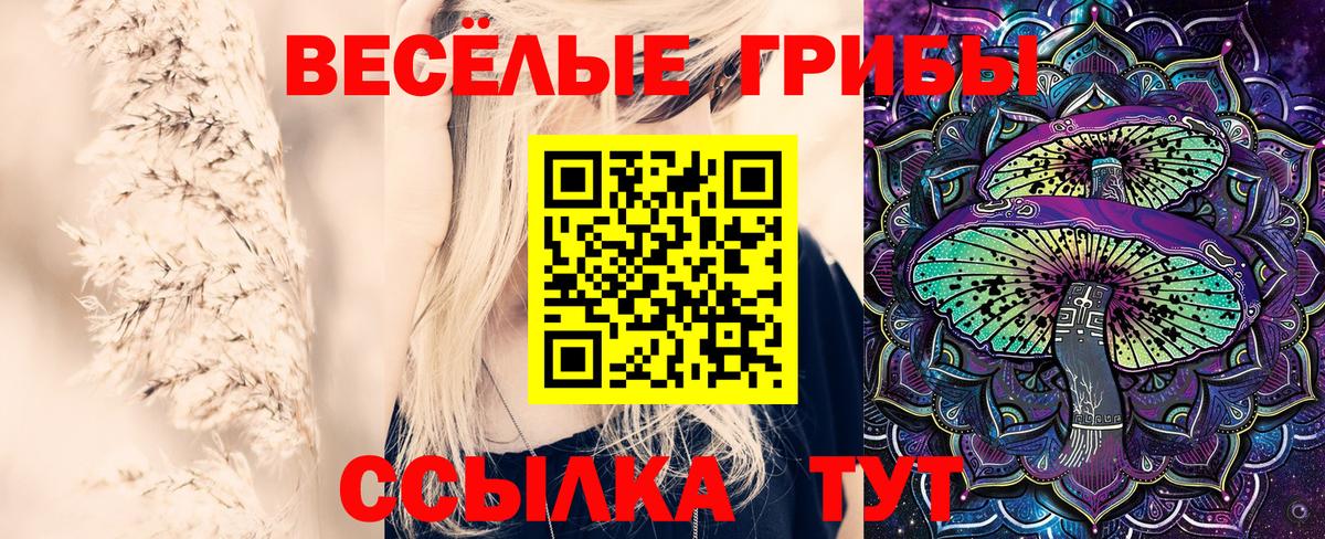 Галлюциногенные грибы Psilocybe  Вход с VPN  Прокопьевск  Галлюциногенные грибы MAGIC MUSHROOMS 
